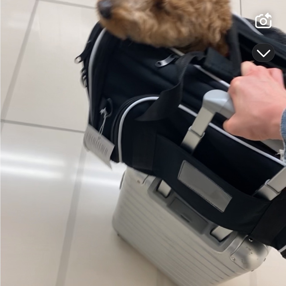 Black Pet Carrier Bag